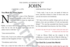 43 John 3 For God So Loved the World